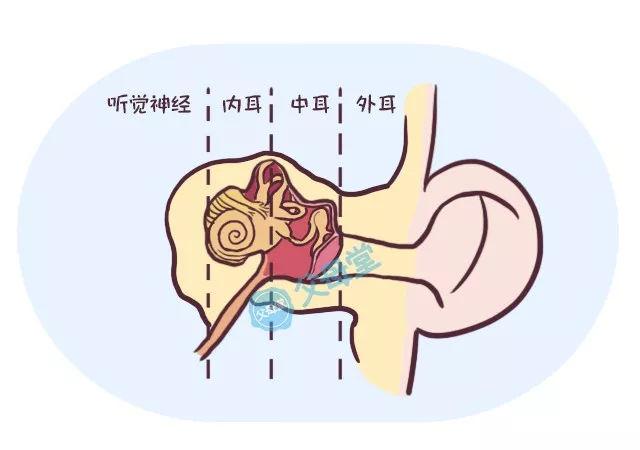 中耳炎的病因有哪些?