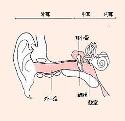 外耳道肿瘤预防措施有哪些?