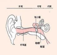 常人所不知的外耳道炎三个危害_你知道吗？