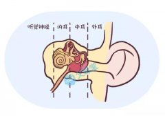 中耳炎的症状是什么?